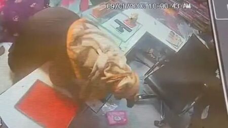 गोरखपुर बांसगांव न्यूज़: बुर्के में ग्राहक बनकर ज्वेलरी शॉप पर पहुंची महिला, आभूषण चुराते CCTV में हुई कैद